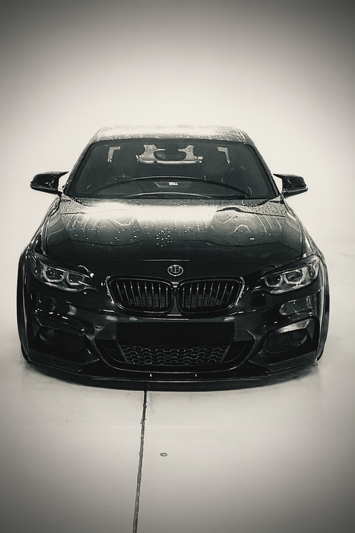BMW F22/23 OEM+ Overfenders (Taking Expressions of Interest)